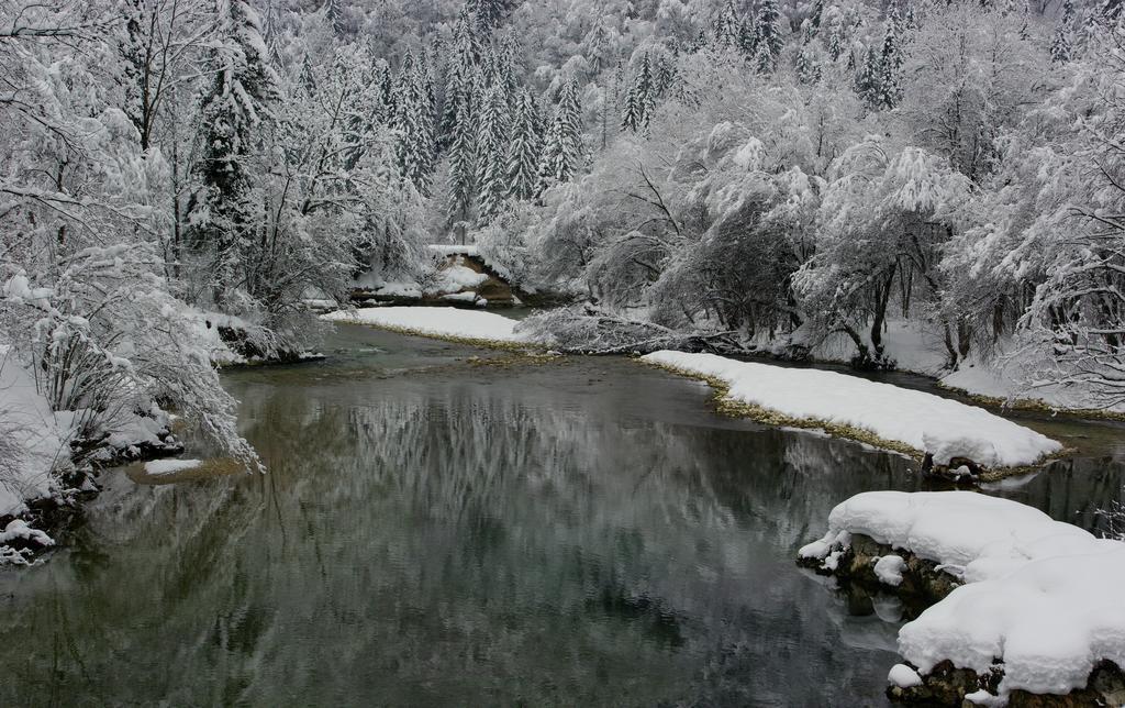 Apartments Zorc Bohinj Extérieur photo