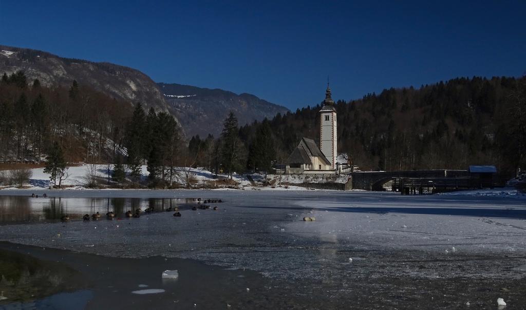 Apartments Zorc Bohinj Extérieur photo